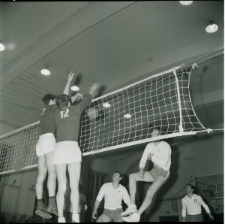 Skan negatywu, sygnatura 2330