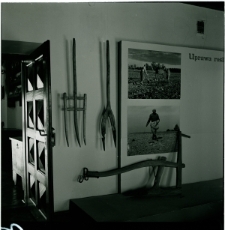 Skan negatywu, sygnatura 2632