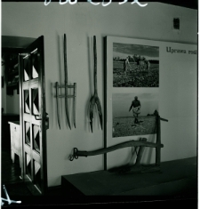 Skan negatywu, sygnatura 2632