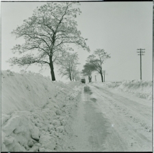 Skan negatywu, sygnatura 2649