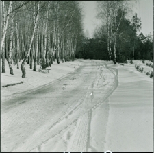 Skan negatywu, sygnatura 2650