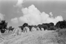 Skan Negatywu, Sygnatura 3348