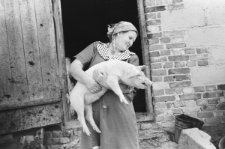 Skan Negatywu, Sygnatura 3348