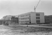 Skan Negatywu, Sygnatura 3377