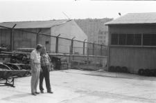 Skan Negatywu, Sygnatura 3377