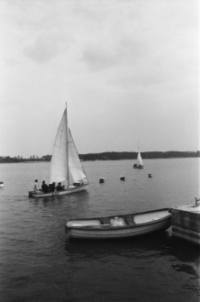 Skan negatywu, Sygnatura 1129