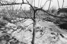 Skan Negatywu, Sygnatura 3301