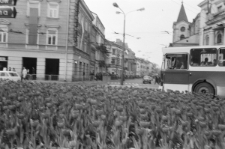 Skan Negatywu, Sygnatura 1717