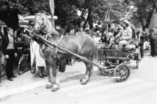 Skan negatywu, sygnatura 1779