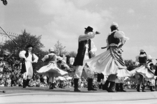 Skan negatywu, sygnatura 1781