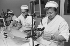 Skan Negatywu, Sygnatura 1133