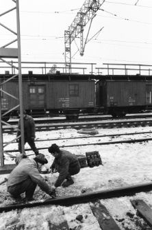 Skan Negatywu, Sygnatura 1811