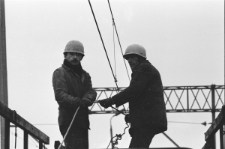 Skan Negatywu, Sygnatura 1811