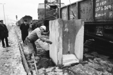 Skan Negatywu, Sygnatura 1811