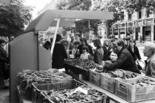 Skan negatywu, sygnatura 1830