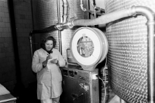 Skan Negatywu, Sygnatura 8-82