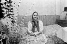 Skan Negatywu, Sygnatura 18-82