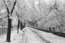 Skan negatywu, sygnatura 2895