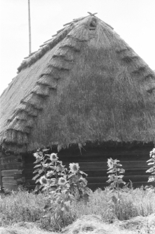 Skan Negatywu, Sygnatura 2102