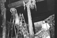 Skan Negatywu, Sygnatura 3151