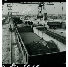 Skan Negatywu, Sygnatura 2239