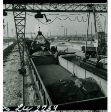 Skan Negatywu, Sygnatura 2239