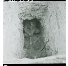 Skan Negatywu, Sygnatura 2239