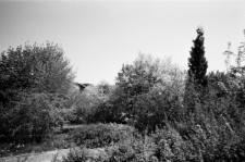 Skan Negatywu, Sygantura 3220