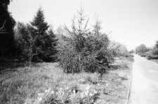 Skan Negatywu, Sygantura 3220