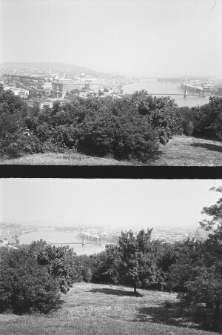 Skan Negatywu, Sygantura 3238