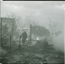 Skan Negatywu, Sygnatura 23405