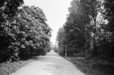 Skan Negatywu, Sygantura 1742