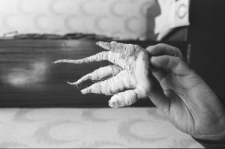 Skan Negatywu, Sygantura 2137