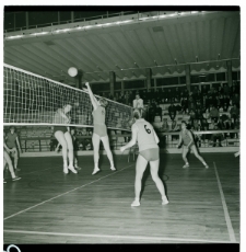 Skan Negatywu, Sygnatura 2249