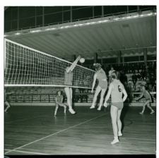 Skan Negatywu, Sygnatura 2249