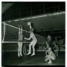 Skan Negatywu, Sygnatura 2249