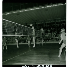 Skan Negatywu, Sygnatura 2249