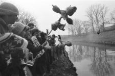 Skan Negatywu, Sygantura 3080