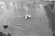 Skan Negatywu, Sygantura 3080