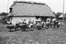 Skan Negatywu, Sygantura 3321