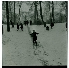 Skan Negatywu, Sygnatura 2435