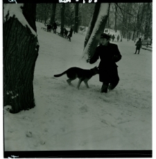 Skan Negatywu, Sygnatura 2435