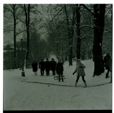 Skan Negatywu, Sygnatura 2435