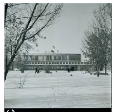 Skan Negatywu, Sygnatura 2484