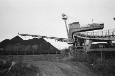 Skan Negatywu, Sygnatura 2155