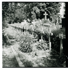 Skan negatywu, Sygnatura 841