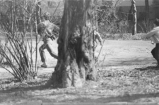 Skan negatywu, sygnatura 3097