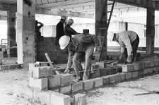 Skan negatywu, sygnatura 3247