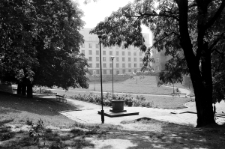 Skan negatywu, sygnatura 3378