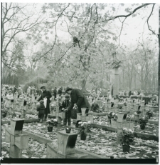 Skan Negatywu, 1 - 12 Święto Zmarłych